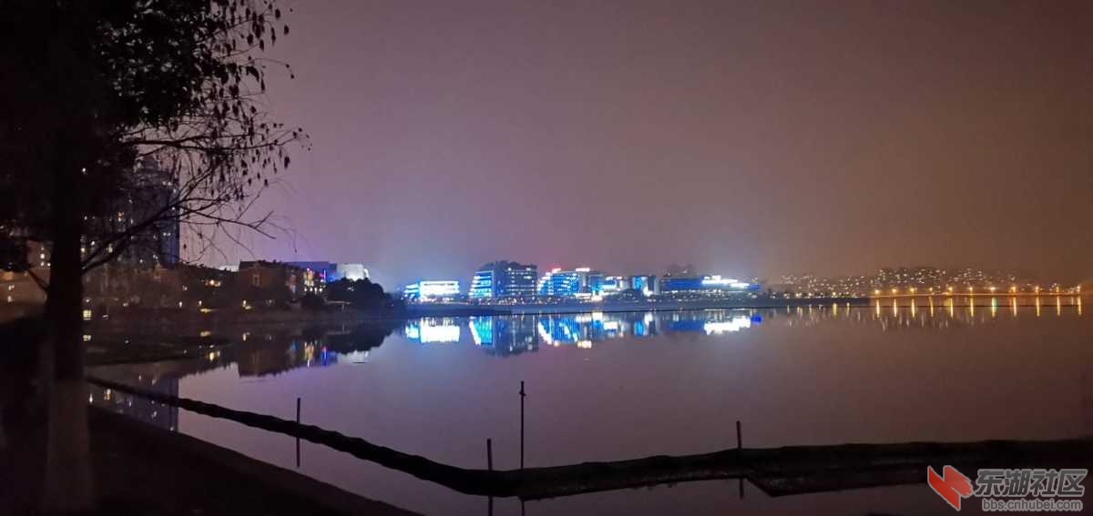 mmexport1613084968276.jpg