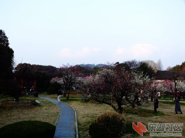 DSCF3203_exposure_调整大小.JPG