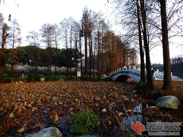 DSCF3232_exposure_调整大小.JPG
