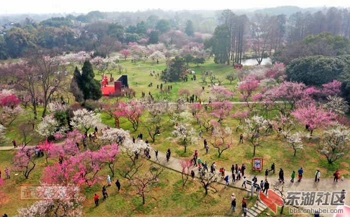 DJI_0456 - 副本.JPG