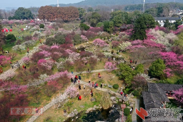 DJI_0491 - 副本.JPG