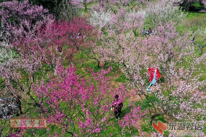 DJI_0481 - 副本.JPG