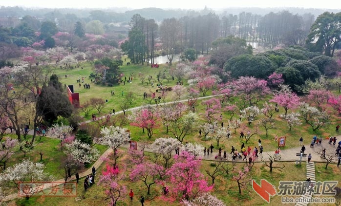 DJI_0460 - 副本.JPG