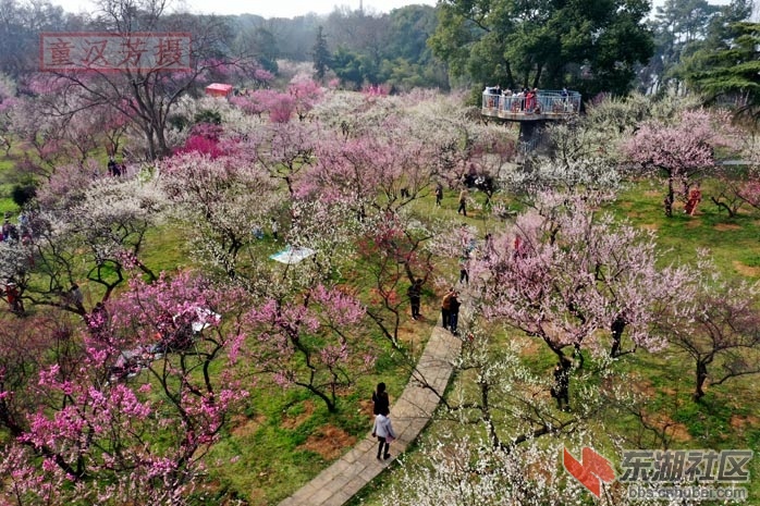 DJI_0512 - 副本.JPG