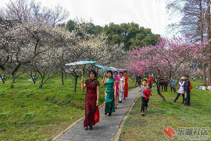 9    DSC01740_副本.jpg
