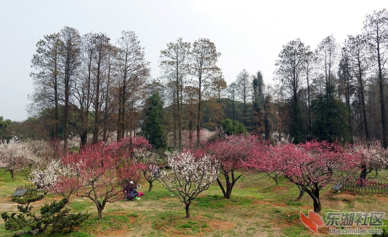 10    DSC01743_副本.jpg
