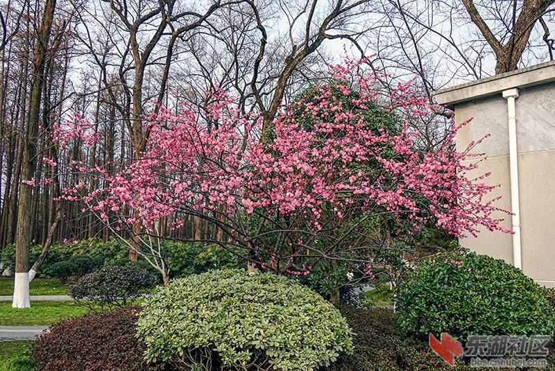 14    DSC01640_副本.jpg