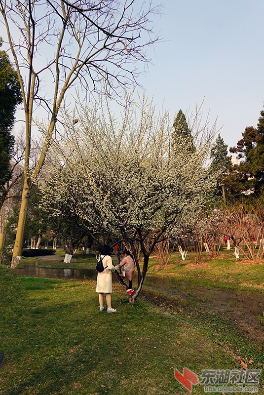 15    DSC01617_副本.jpg