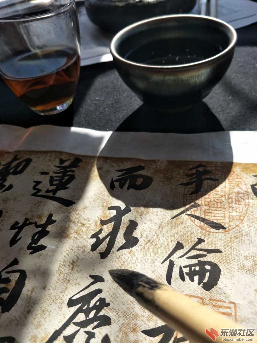 IMG20210217110809.jpg