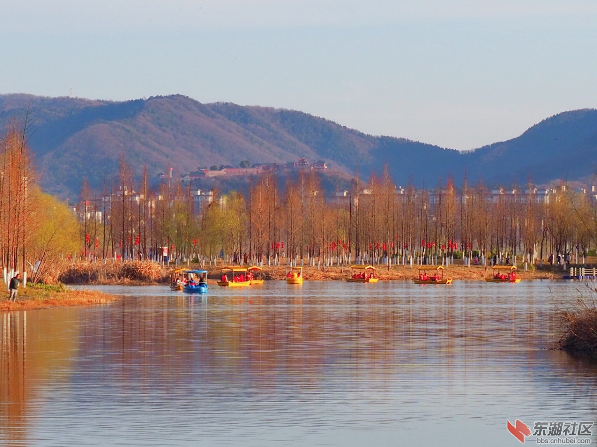 P2163160.jpg