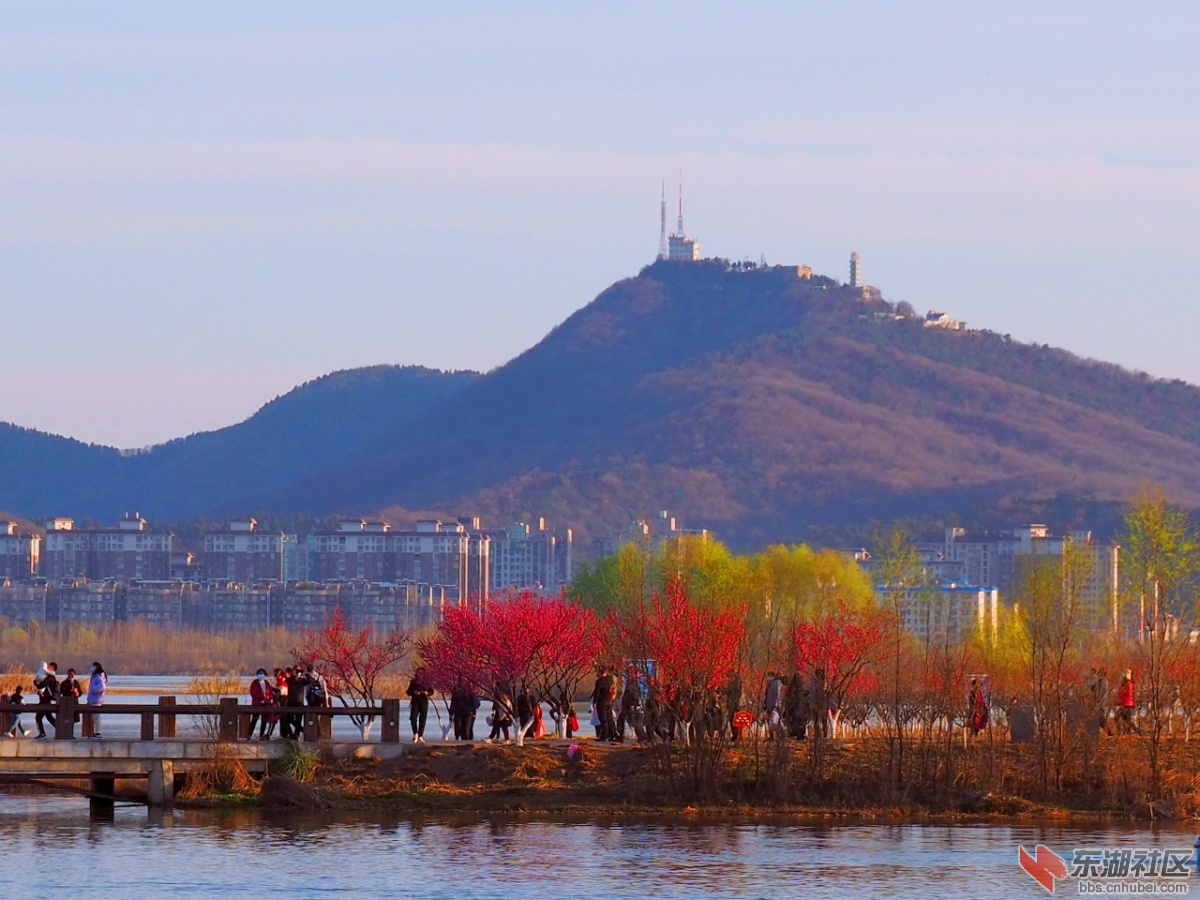 P2163177.jpg