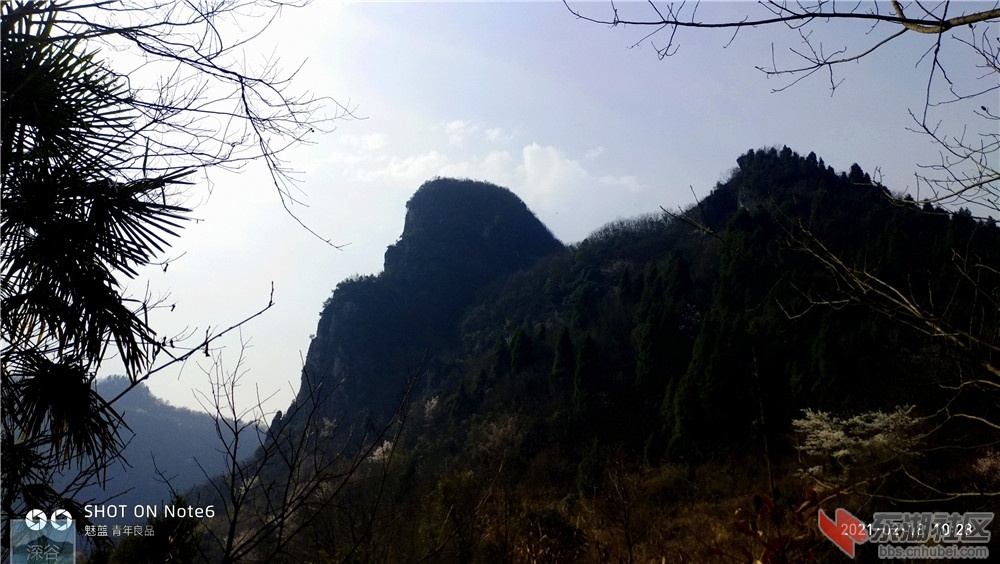 P10218-102834.jpg