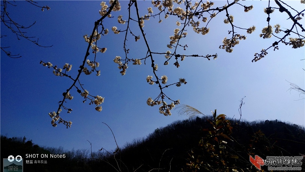 P10218-131826.jpg