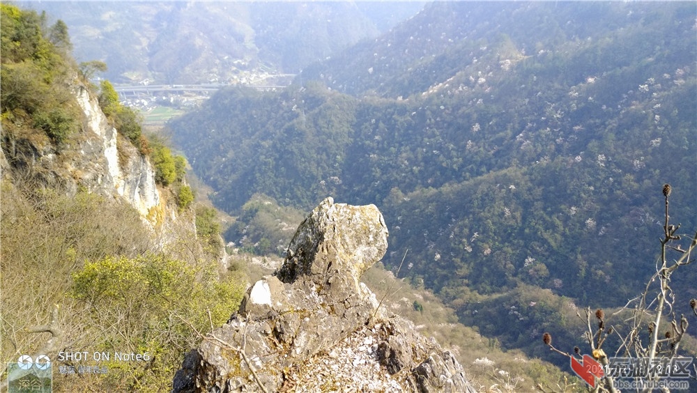 P10218-121340.jpg