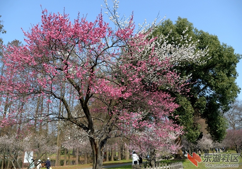 DSC_1927_副本.jpg