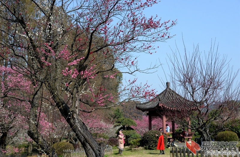 DSC_1941_副本.jpg
