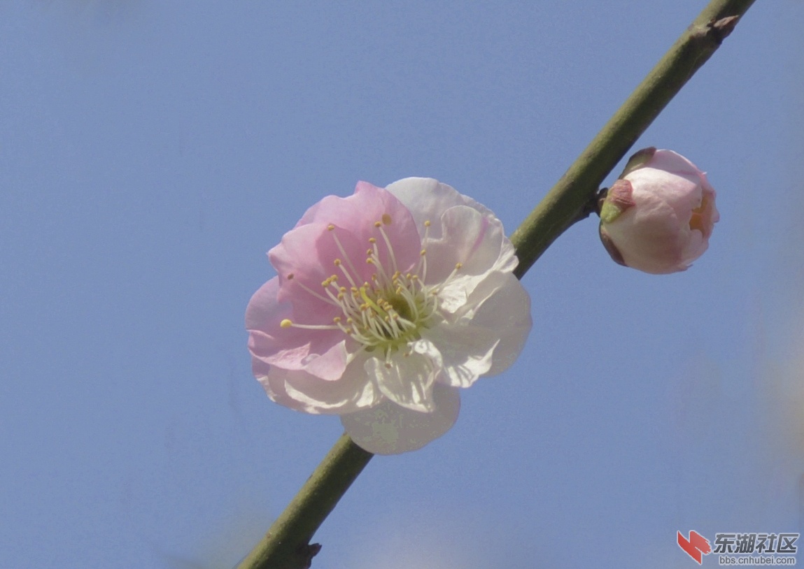 DSC_1863_副本_副本.jpg