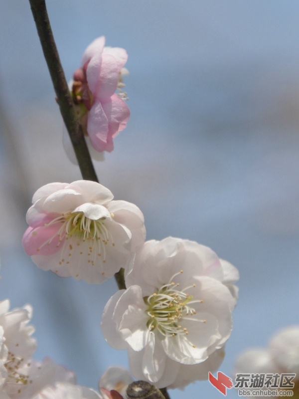 DSC_1886_副本.jpg