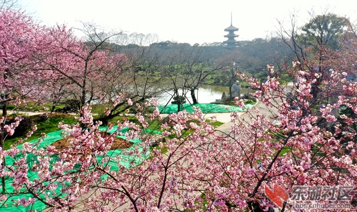 DJI_0740 - 副本 - 副本.JPG
