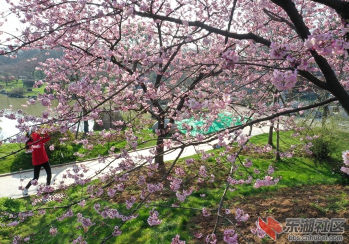 DJI_0749 - 副本 - 副本.JPG
