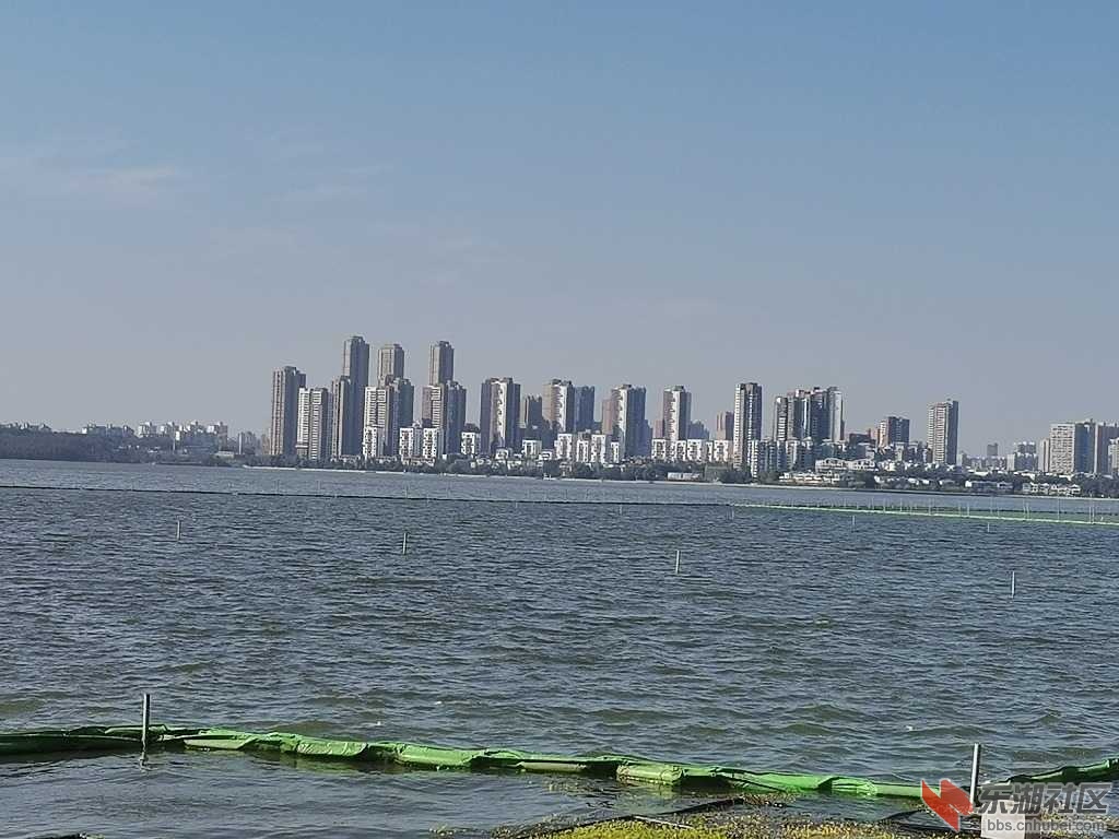 IMG_20210220_104016.jpg