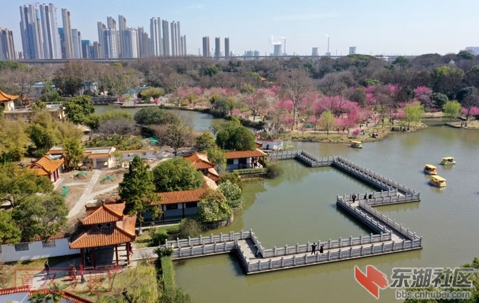 DJI_0788 - 副本.JPG