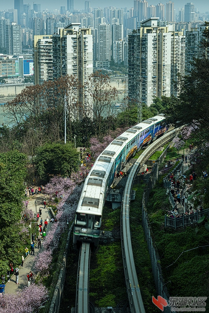2.重庆网红打卡地——佛图关公园 曾院平摄影.jpg
