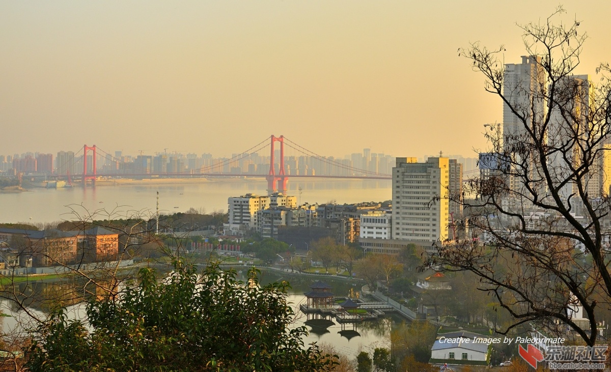 _DSC3797.jpg