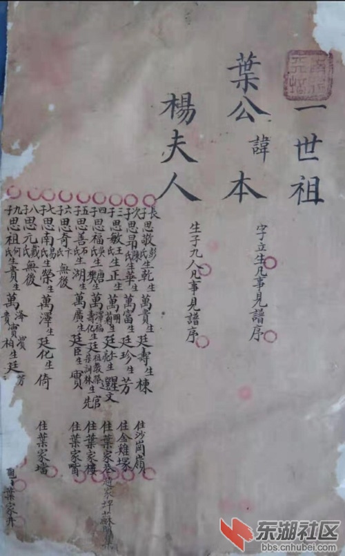 四房叶本.jpg