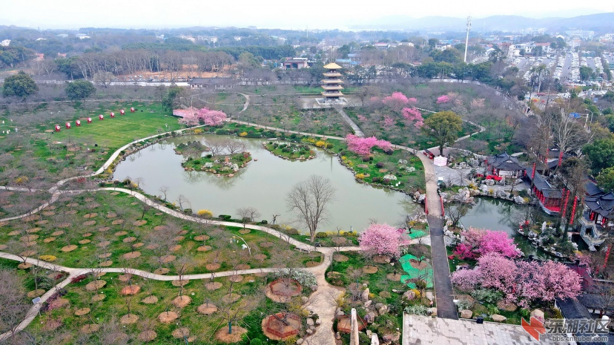 DJI_0147.jpg
