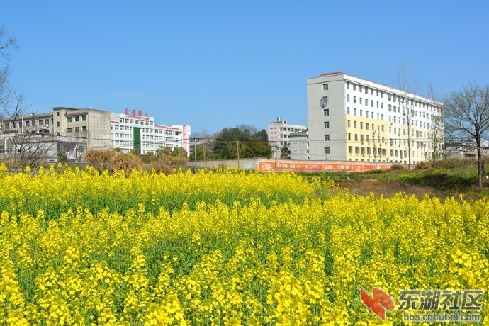 001sIZO5zy7KM5fVfdT21.jpg