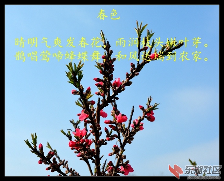 DSC_0043_副本.jpg