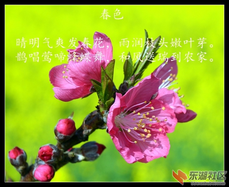 DSC_0084_副本.jpg