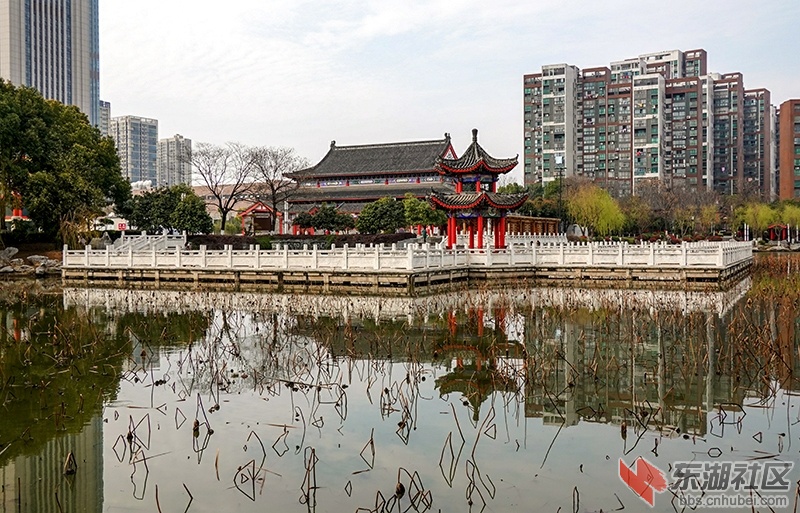 8    DSC02170_副本.jpg