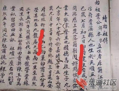 221.jpg