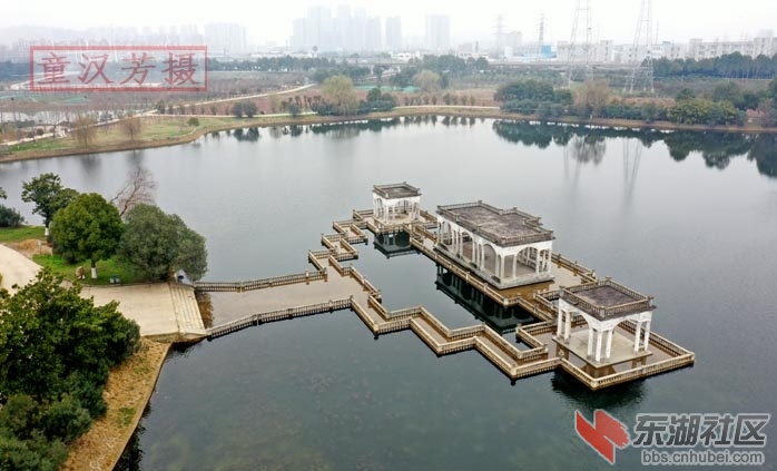 童汉芳摄 无人机看张毕湖的桥2021.2 - 副本.JPG