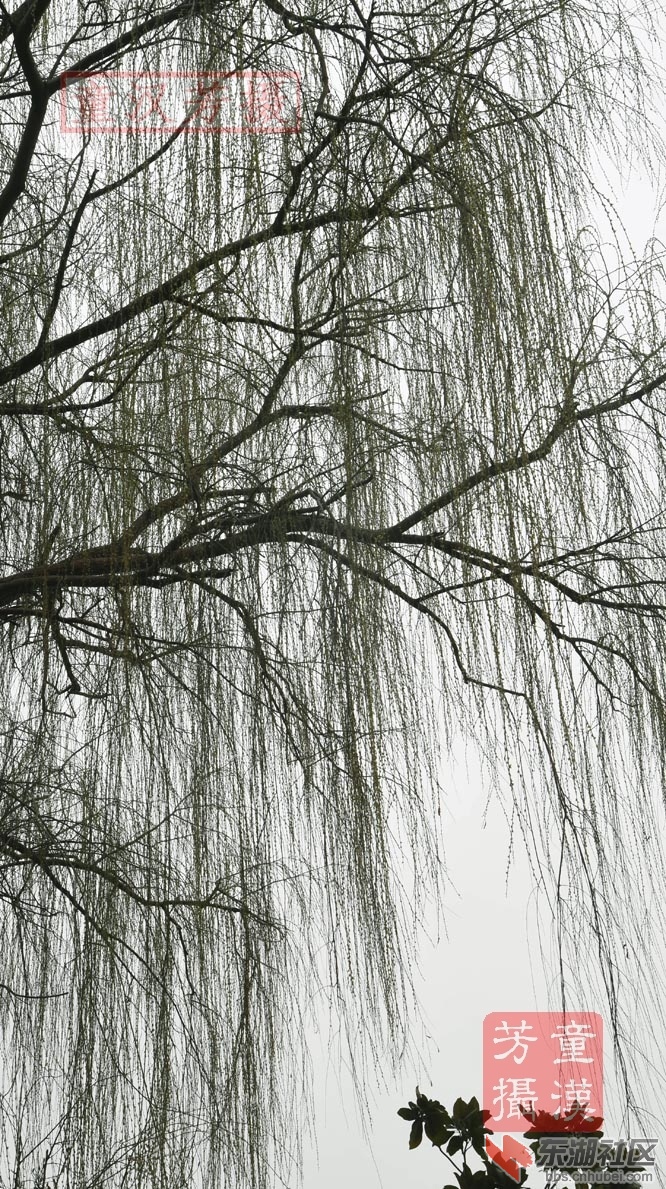DSC_3283 - 副本.JPG