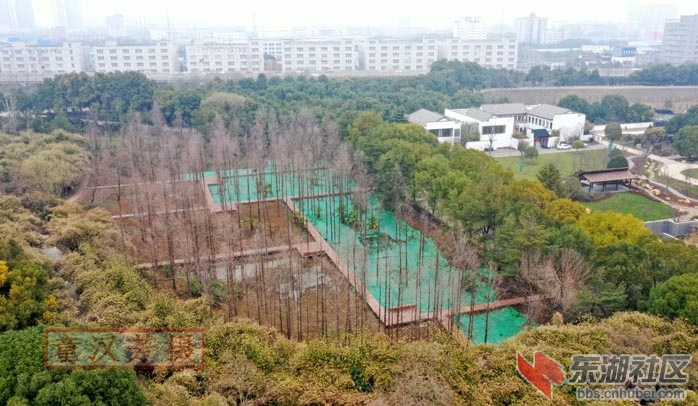 童汉芳摄 无人机看张毕湖杉林桟桥DJI_0260 - 副本.JPG