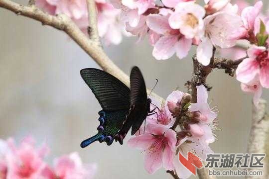 mmexport73f3c98a595371b38797434a24a02920.jpeg