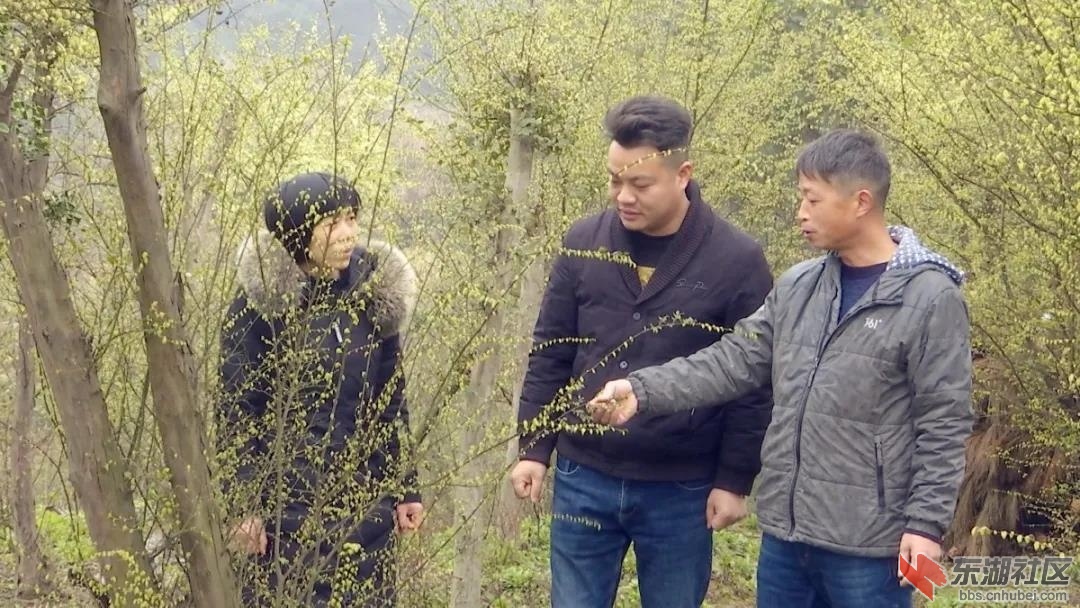 微信图片_20210313210311.jpg
