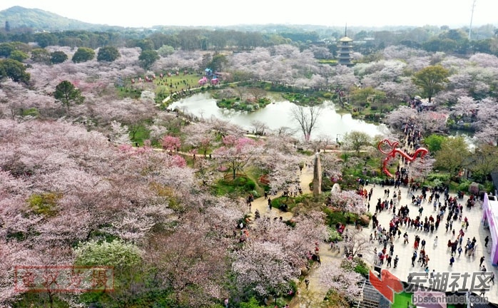 DJI_0288 - 副本_副本.jpg