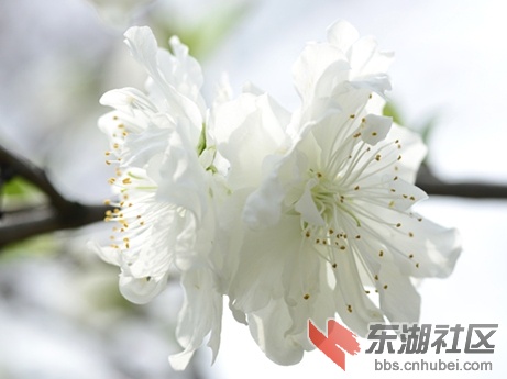 _DSC6303_副本_副本0.jpg