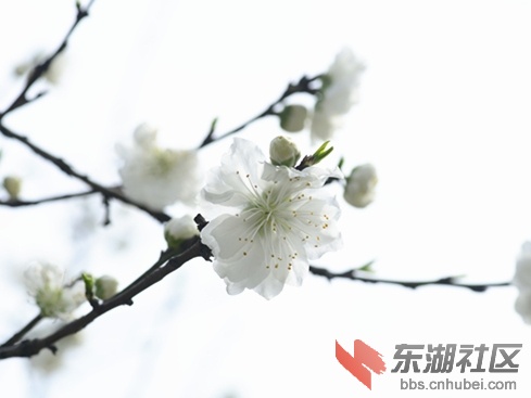 _DSC6289_副本_副本00.jpg
