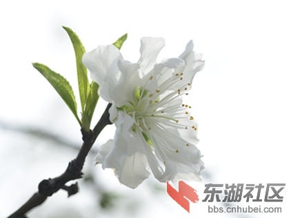 _DSC6299_副本_副本00.jpg