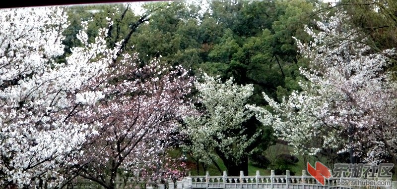 DSC02231_副本.jpg