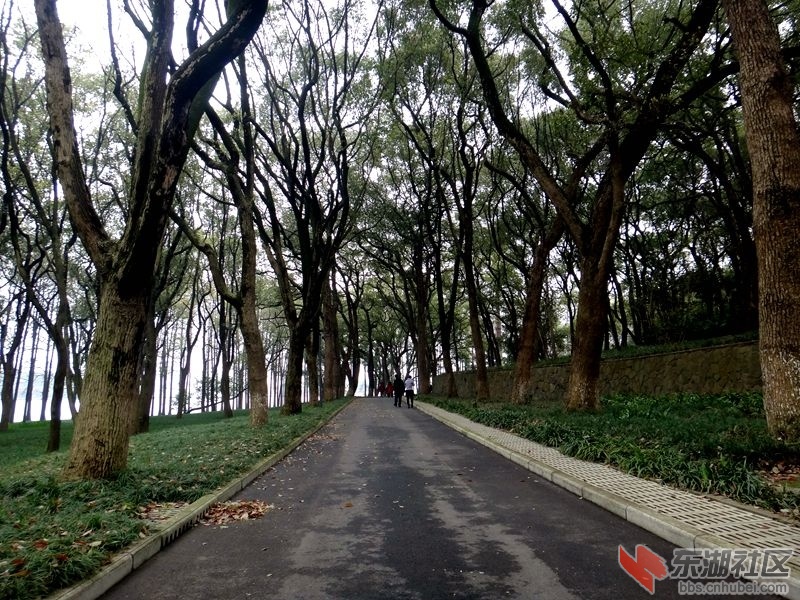 DSC02253_副本.jpg