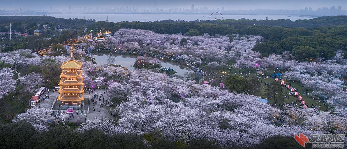 东湖之夜 曾院平摄影.jpg
