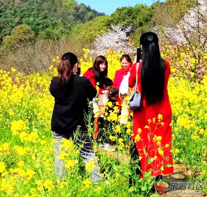  不负春光不负韶华梅川希尔寨第七届春季赏花节一起约起！