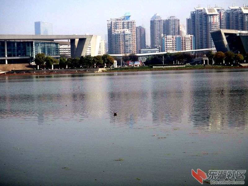 DSC02313_副本.jpg