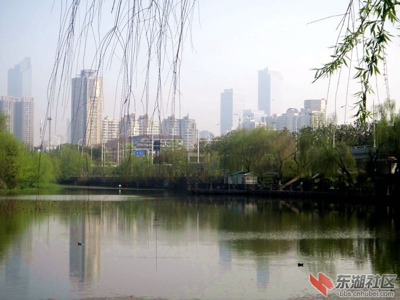 DSC02297_副本.jpg